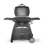Gasgrill 'Q 3200' schwarz 144 x 110,5 x 76,2 cm