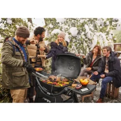 Gasgrill 'Weber Q' schwarz 80 x 68 x 48 cm
