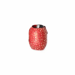 Geschenkband 'Nature Pack Stars' Baumwolle grün/gold 12 m