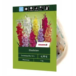 Gladiolen-Mix 1 kg