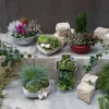 Grab-Arrangement Zinkschale mit Griffen, bepflanzt, Ø 23 cm