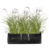 Gräserhecke Chinaschilf 'Ferner Osten' in Pflanztasche 100 x 50 cm