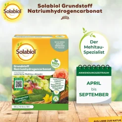 Grundstoff-Pulver Natriumhydrogencarbonat 350 g