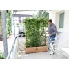 Hecke am laufenden Meter® Efeu 'Woerneri' Balkon 130 x 100 cm