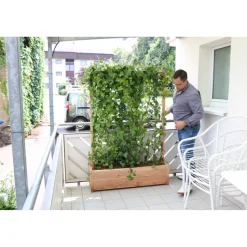 Hecke am laufenden Meter® Efeu 'Woerneri' Balkon 130 x 100 cm