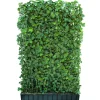 Hecke am laufenden Meter® Efeu 'Woerneri' 180 x 120 cm