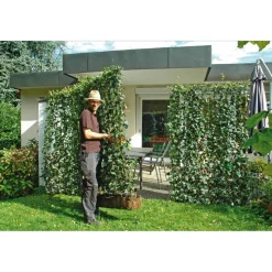 Hecke am laufenden Meter® Efeu 'Woerneri' 100 x 120 cm