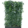 Hecke am laufenden Meter® Efeu 'Woerneri'/Clematis hellblau 180 x 120 cm