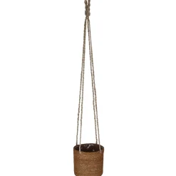 Hängeampel Hogla-Gras natur mit Polybeutel Ø 14 x 14 cm
