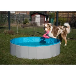 Hundepool grau/petrolblau PVC Ø 160 x 30 cm
