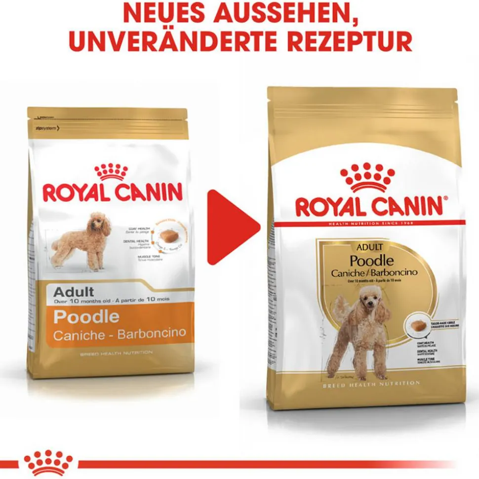 Hundetrockenfutter 'Poodle Adult ' 1,5 kg