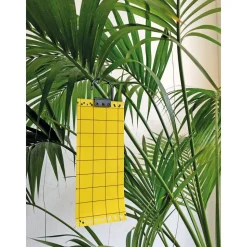 Insekten-Klebetafeln gelb 5 Stück