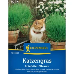 Katzengras Frischgrün Mischung