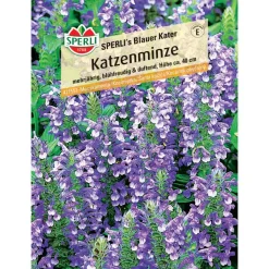 Katzenminze 'SPERLI's Blauer Kater'