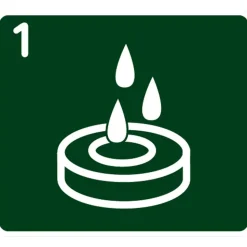 Kokos-Quelltabletten torffrei 50 Stück