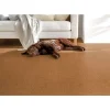 Korkboden 'Studiostyle' Beja Natural braun 10,5 mm