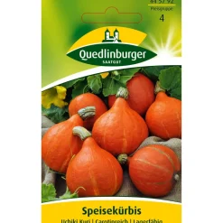 Kuerbis Hokkaido 'Uchiki Kuri'