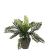 Kunstpflanze Cycas Palme im Topf 33 x 34 cm
