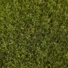 Kunstrasen 'Bermuda' grün 400 cm Meterware