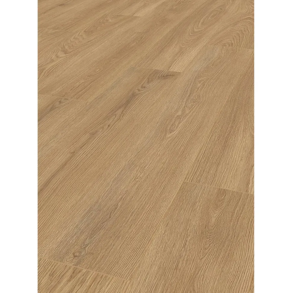 Laminat 'Premium Wheat Cornforth Oak' eichefarben 7 mm