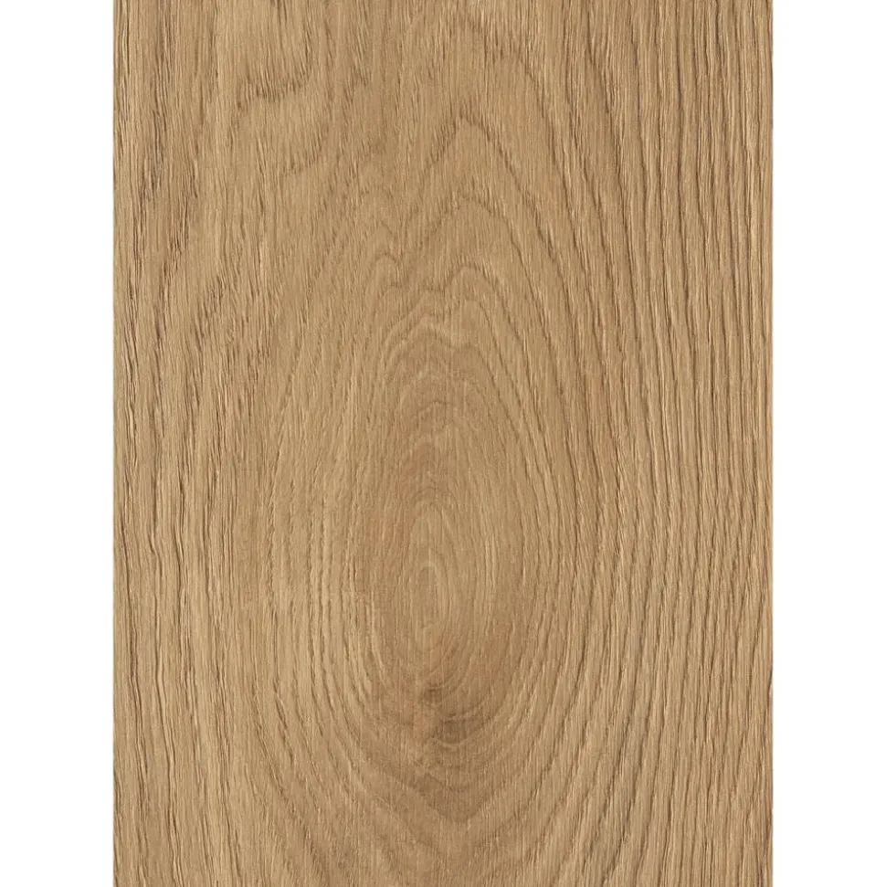Laminat 'Premium Wheat Cornforth Oak' eichefarben 7 mm