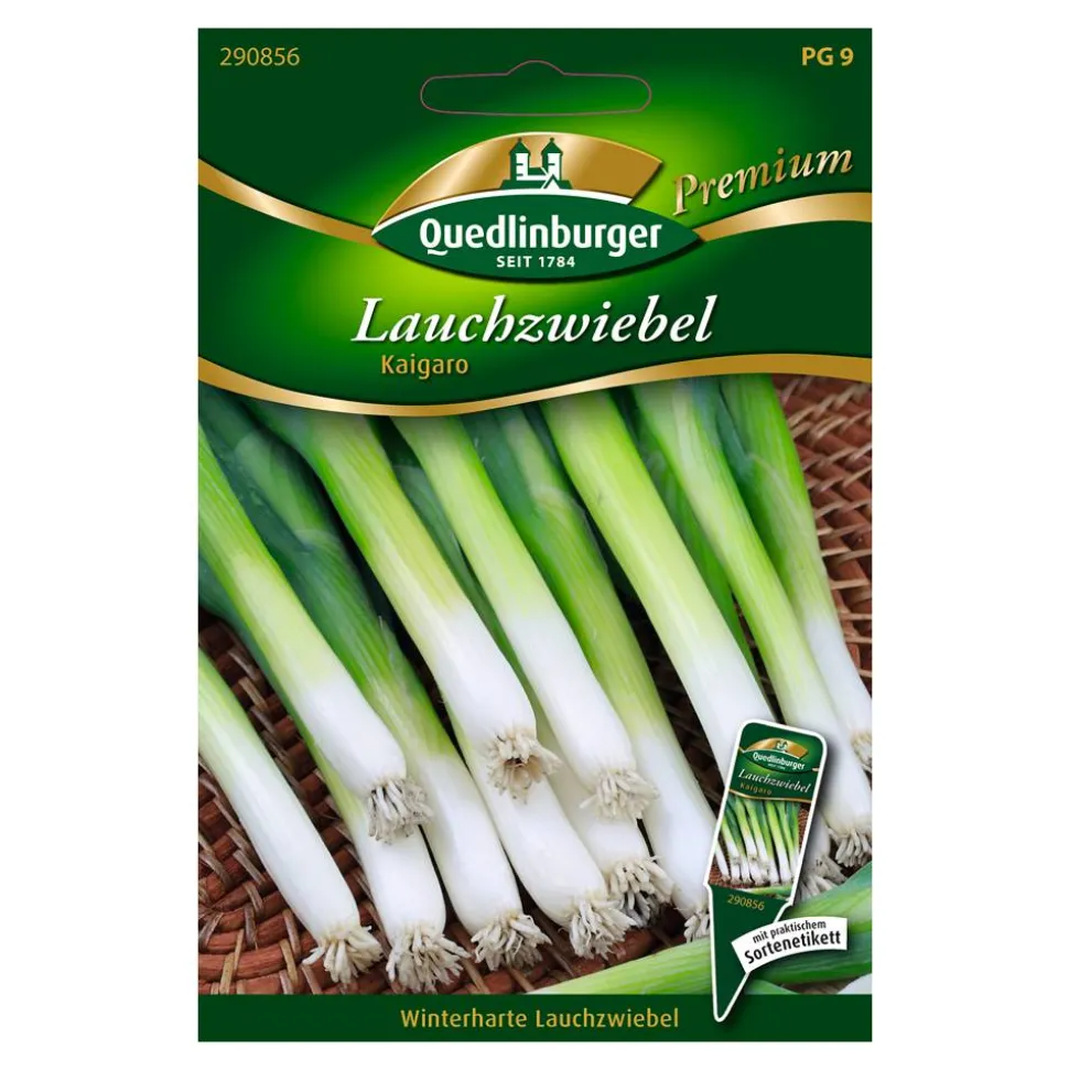Lauchzwiebel "Kaigaro"