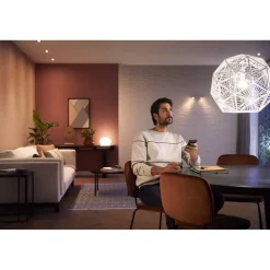 LED-Lampe 'Hue White' E27 9,5 W