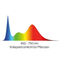 LED-Pflanzenlampe 50 W schwarz 23 x 28 cm 2er-Set