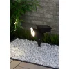 LED-Solar-Strahler schwarz 27,4 cm
