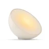 LED-Tischleuchte 'Hue White & Color Ambiance Go' weiß 520 lm