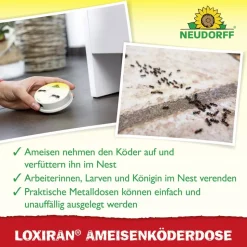 Loxiran Ameisenköderdose 2 Stück