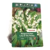 Maiglöckchen 'Lily of the Valley' 3 Stück, weiß