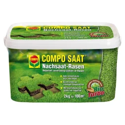 Nachsaatrasen 'Compo Saat' 2 kg