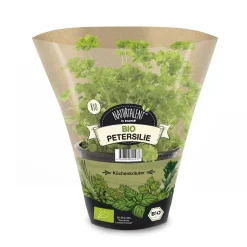 Naturtalent by toom® Bio-Petersilie kraus 12 cm Topf, 2er-Set
