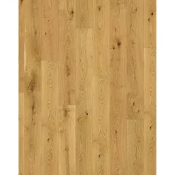 Parkett 'Basic 11-5' Eiche Rustikal naturgeölt braun 11,5 mm