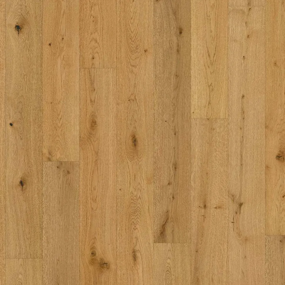 Parkett 'Classic 3060' Eiche naturgeölt plus braun 13 mm