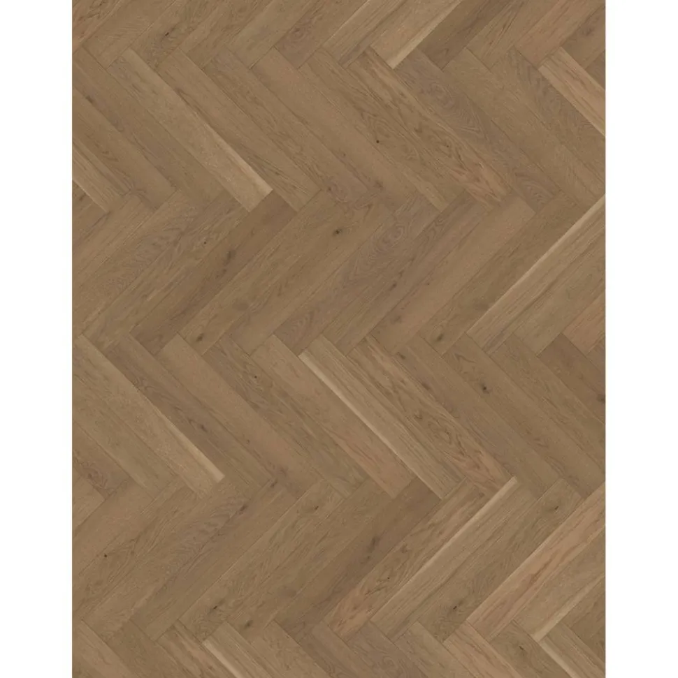 Parkett 'Trendtime 3 Living' Eiche lackversiegelt matt braun 10,5 mm