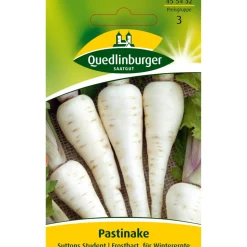Pastinake 'Sutten Student'