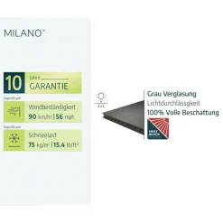 Pavillon 'Milano' anthrazit 309 x 426 cm Polycarbonat grau