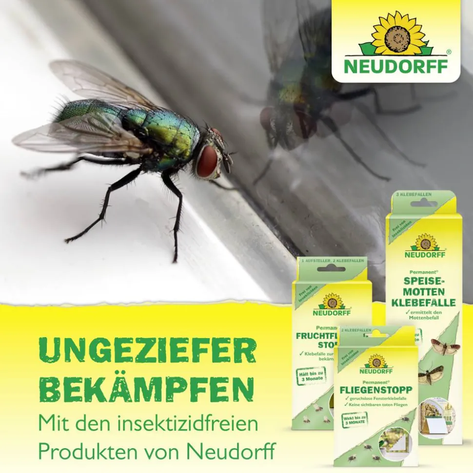 Permanent Silberfischchenstopp 3 Stück