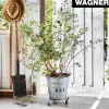 Pflanzenroller 'Sun City 0817' small Stahl Tragkraft 75 kg