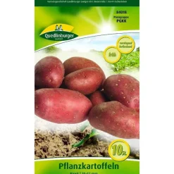 Pflanzkartoffel 'Birgit' rosa 10 Stück