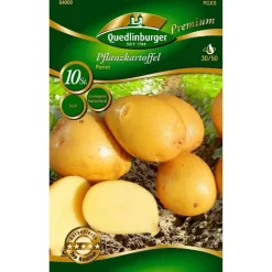 Pflanzkartoffel 'Penni' gelb 10 Stück