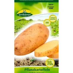 Pflanzkartoffel 'Sieglinde' gelb 10 Stück