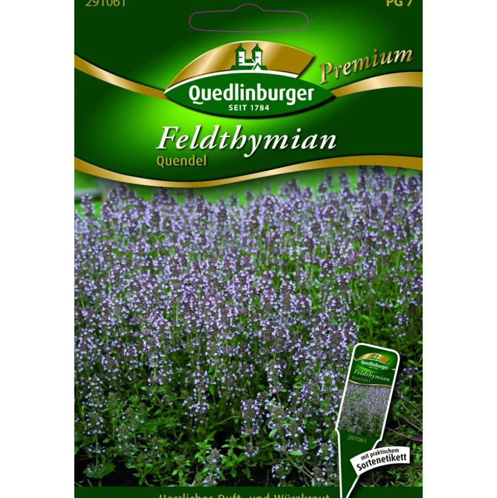 Premium Feld-Thymian Quendel