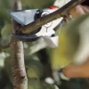 Premium-Gartenschere 'BP 50'