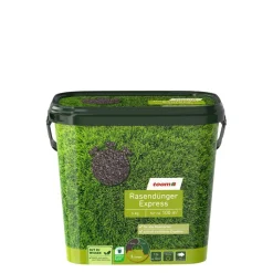 Rasendünger Express 5 kg