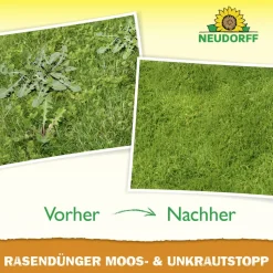 Rasendünger 'Moos- und Unkrautstopp' 5 kg