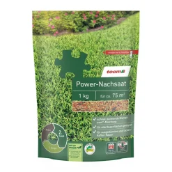 Rasennachsaat 'Power' 1 kg für ca. 75 m²