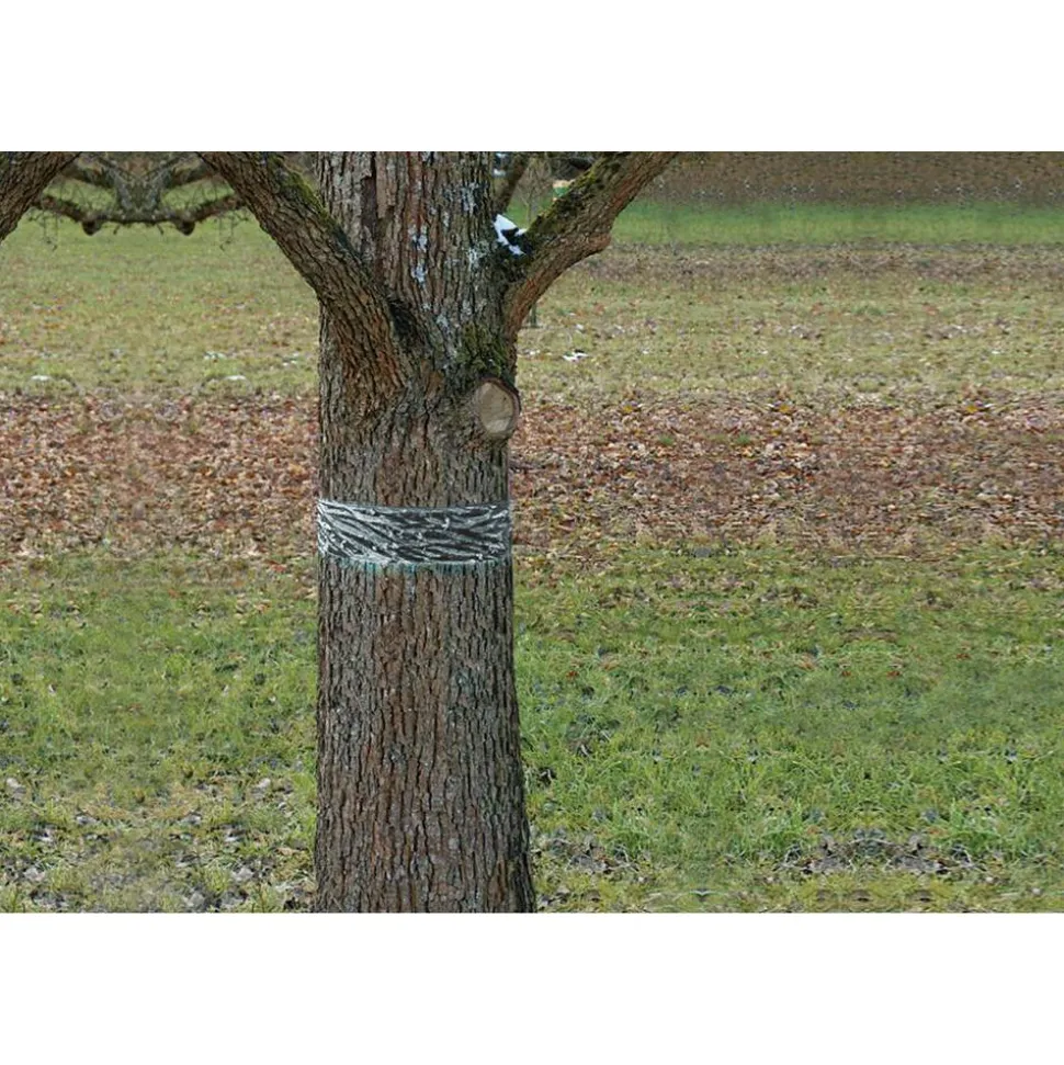 Raupen- und Ameisenleimring 'Natural Control' 5 x 500 cm